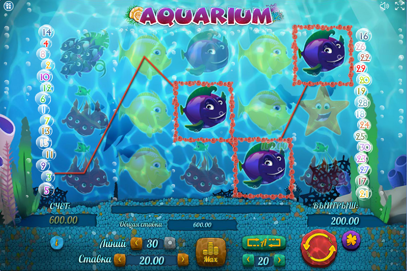 Aquarium -   